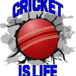 Load image into Gallery viewer, Cricket Is Life