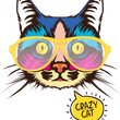 Load image into Gallery viewer, Crazy Cat