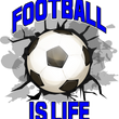 Load image into Gallery viewer, Football Is Life